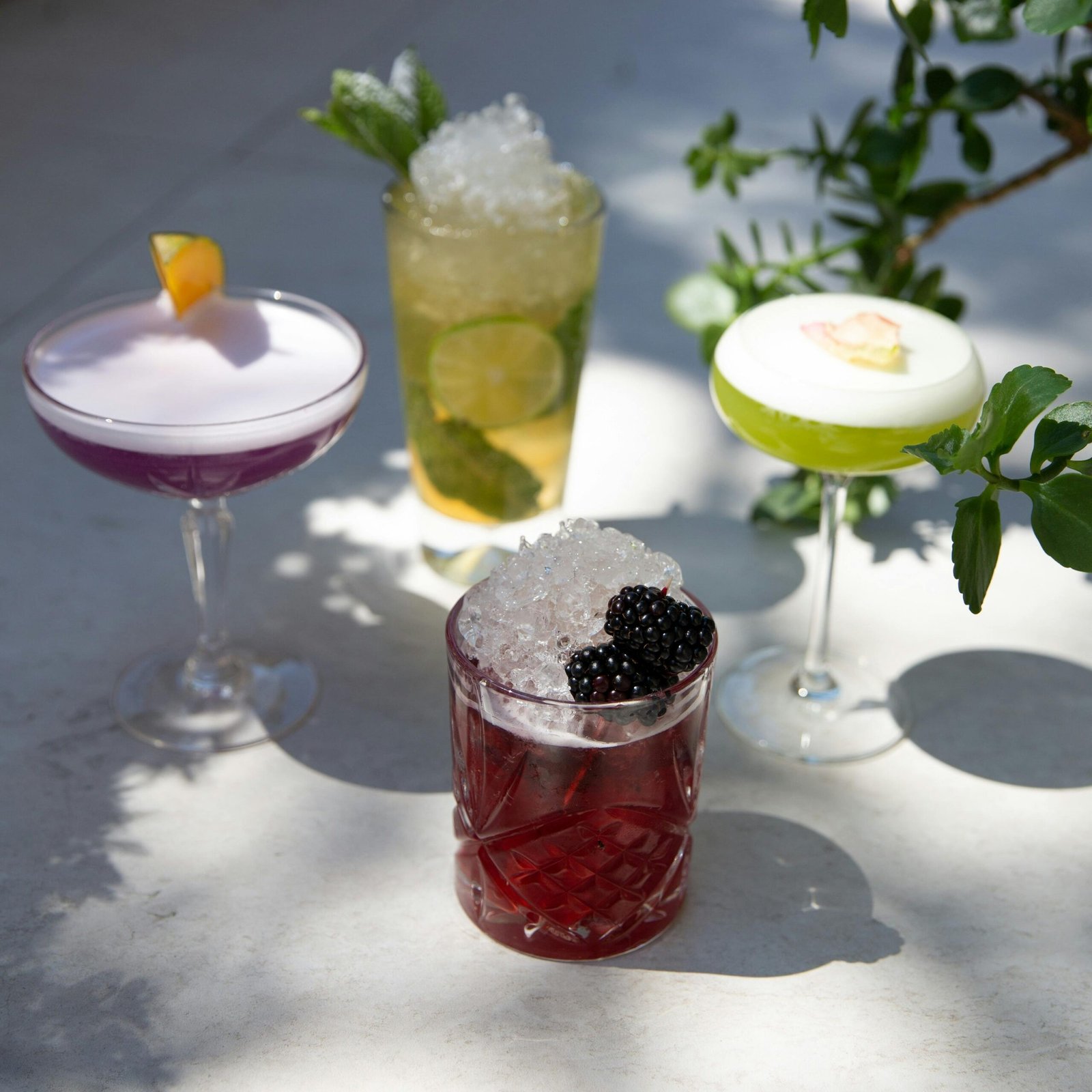 A vibrant selection of assorted cocktails featuring fresh fruits and ice, perfect for refreshing summer moments.
